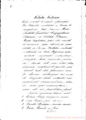 Fotogramma D 5