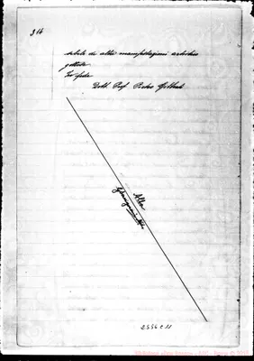 Fotogramma C 11