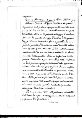 Fotogramma D 11