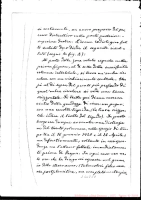 Fotogramma C 8