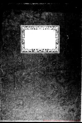 Fotogramma D 3