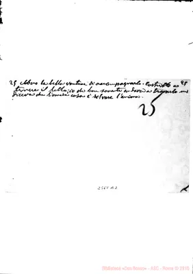 Fotogramma B 2