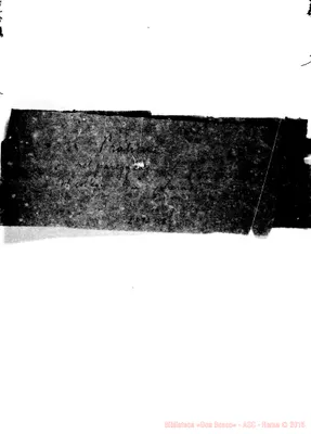 Fotogramma B 3