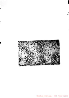 Fotogramma C 3