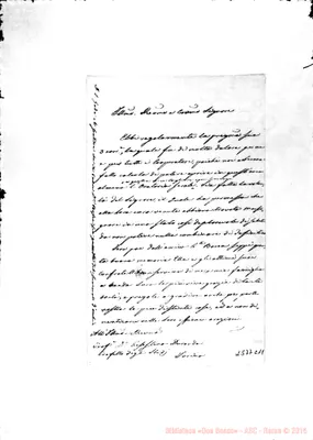 Fotogramma C 11