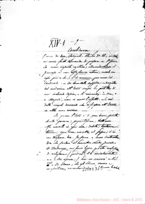 Fotogramma C 11