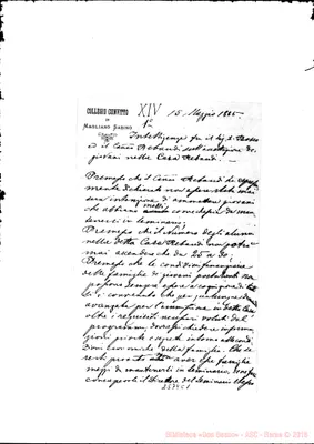 Fotogramma C 1