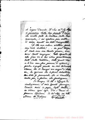 Fotogramma C 11