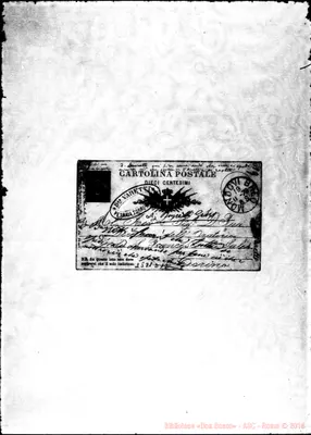 Fotogramma D 12