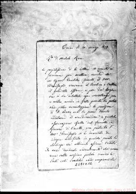 Fotogramma E 12