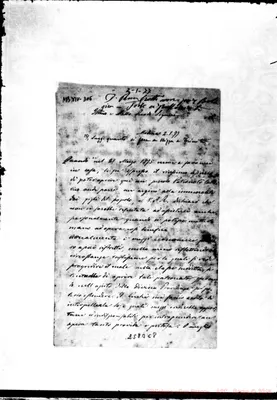 Fotogramma C 8