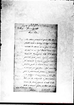 Fotogramma C 11