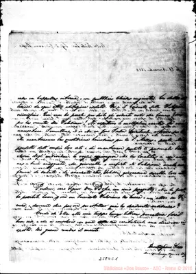 Fotogramma C 1