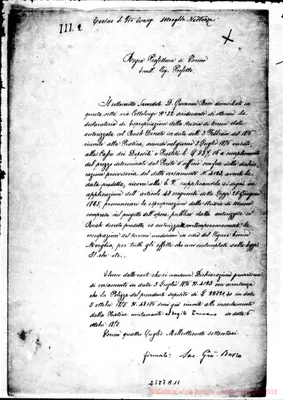 Fotogramma A 11