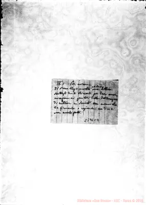 Fotogramma C 9