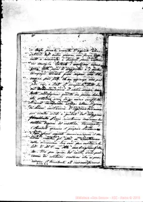 Fotogramma E 6