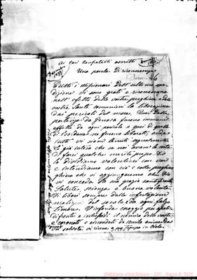 Fotogramma D 8