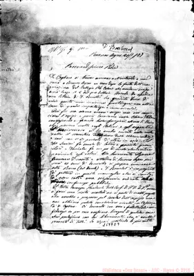 Fotogramma D 9
