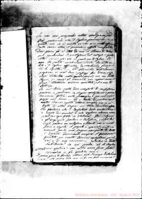 Fotogramma D 11