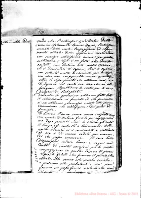 Fotogramma D 5