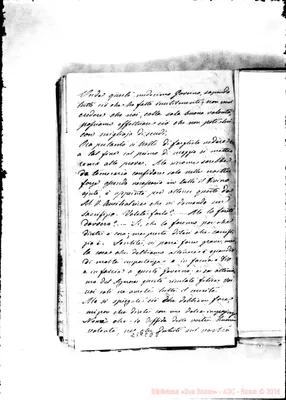 Fotogramma D 8