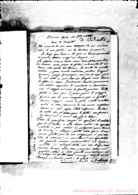 Fotogramma C 2