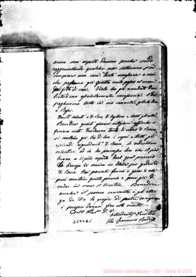 Fotogramma C 5