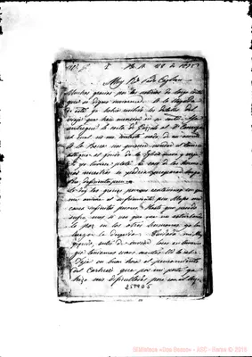 Fotogramma D 5