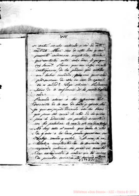 Fotogramma D 11