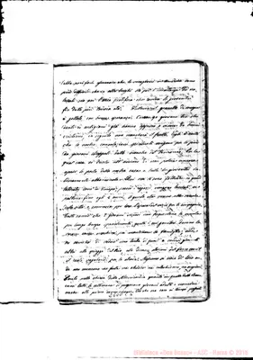 Fotogramma C 5