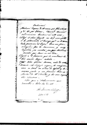Fotogramma C 11