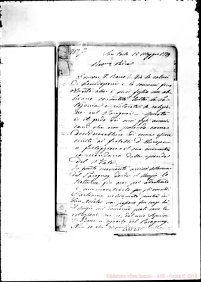 Fotogramma D 5