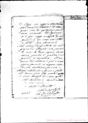Fotogramma D 8