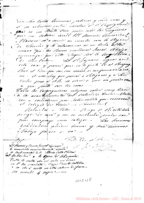 Fotogramma B 8