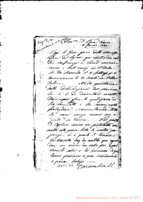Fotogramma D 6