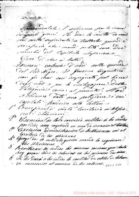 Fotogramma D 11