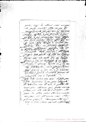 Fotogramma C 11