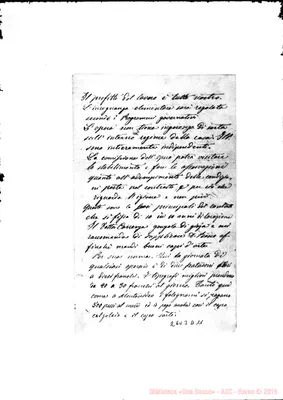 Fotogramma D 11