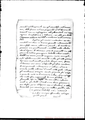 Fotogramma C 8