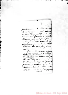 Fotogramma C 2