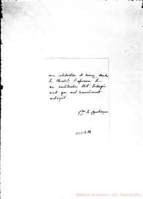 Fotogramma D 11