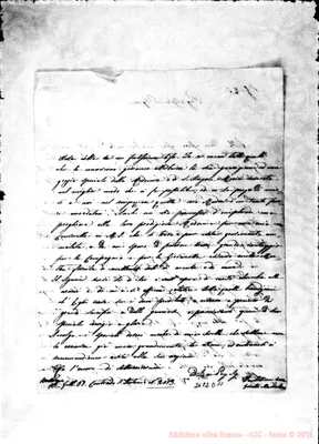 Fotogramma D 11