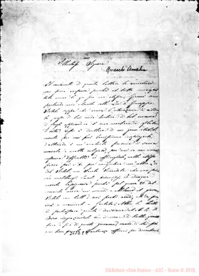 Fotogramma E 8