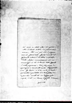 Fotogramma C 11