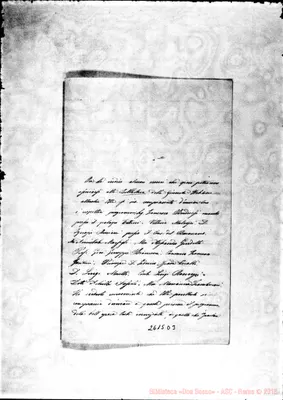 Fotogramma D 3