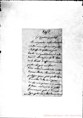 Fotogramma D 11