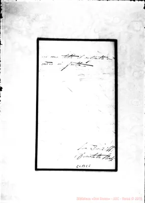 Fotogramma C 5