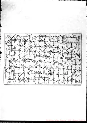 Fotogramma C 11