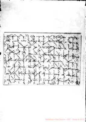 Fotogramma C 12