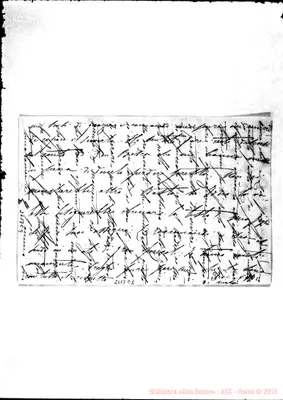 Fotogramma D 1